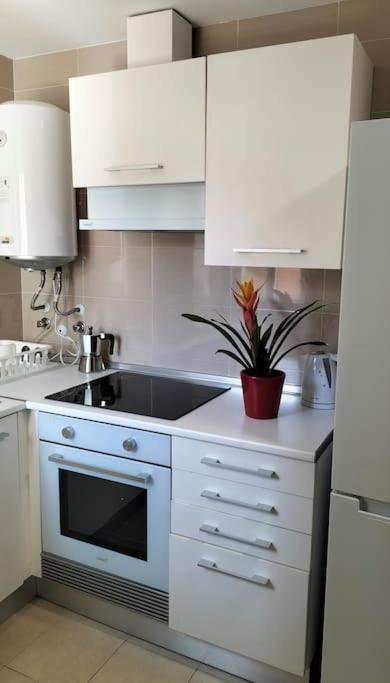 Estudio 52 Malaga Centrico Parking Gratuito Apartment Exterior photo